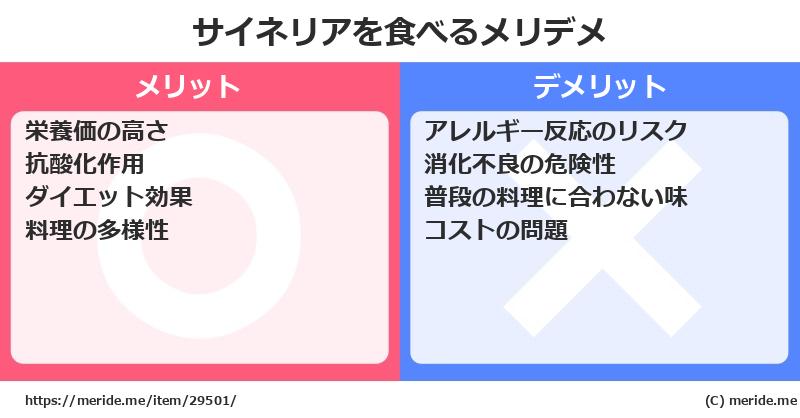 サイネリアを食べるメリットとデメリットは？ [野菜]  メリデメ