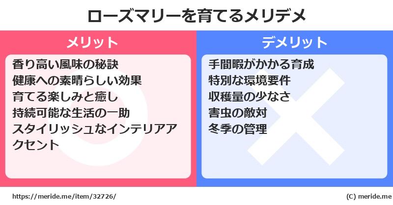 ローズマリーを育てるメリットとデメリットは？ [栽培]  メリデメ
