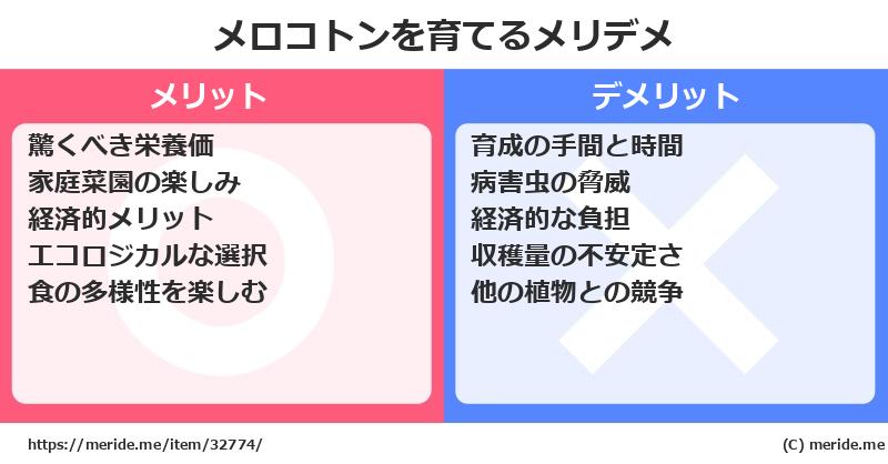メロコトンを育てるメリットとデメリットは？ [栽培]  メリデメ