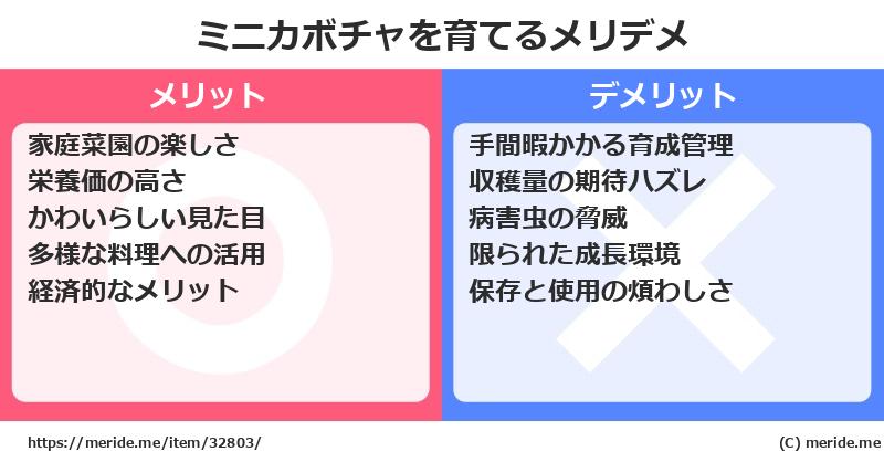 ミニカボチャを育てるメリットとデメリットは？ [栽培]  メリデメ