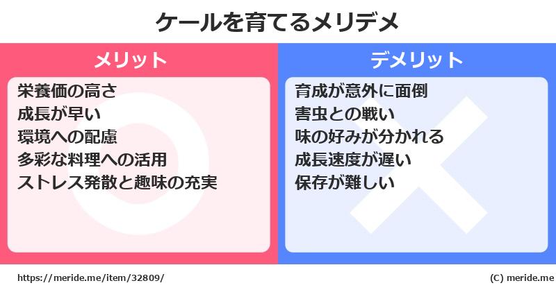ケールを育てるメリットとデメリットは？ [栽培]  メリデメ