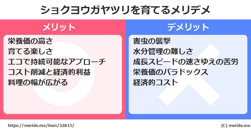 ショクヨウガヤツリを育てるメリットとデメリットは？ [栽培]  メリデメ
