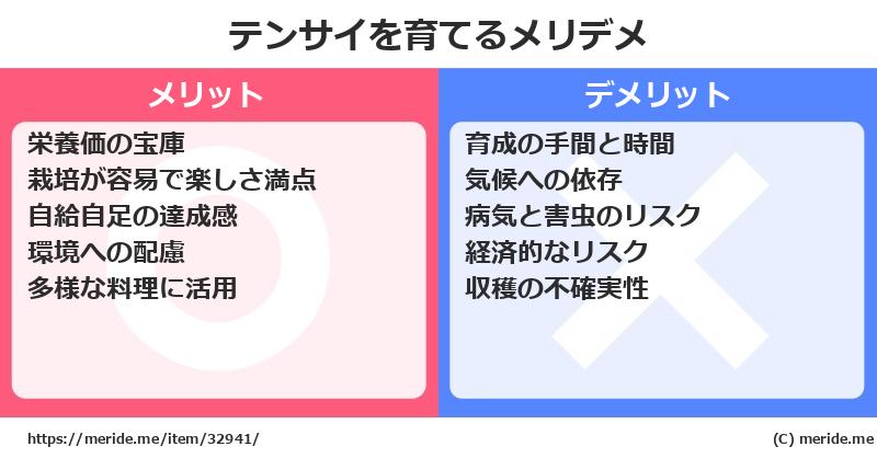 テンサイを育てるメリットとデメリットは？ [栽培]  メリデメ