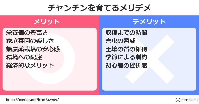 チャンチンを育てるメリットとデメリットは？ [栽培]  メリデメ