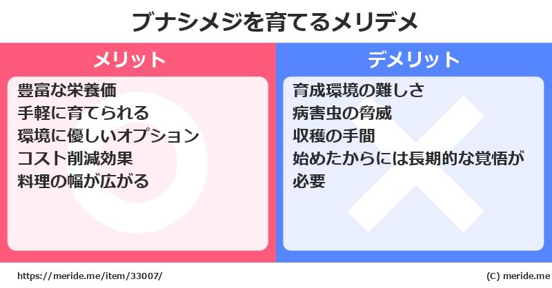 ブナシメジを育てるメリットとデメリットは？ [栽培]  メリデメ