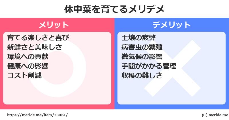 体中菜を育てるメリットとデメリットは？ [栽培]  メリデメ