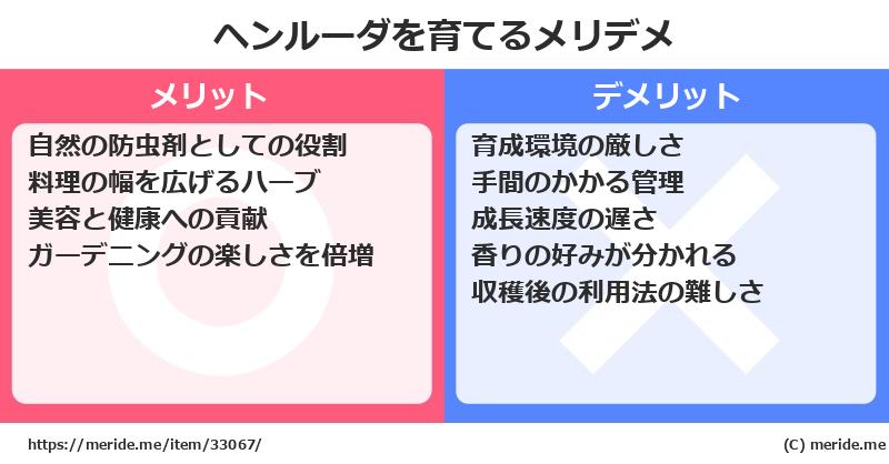 ヘンルーダを育てるメリットとデメリットは？ [栽培]  メリデメ
