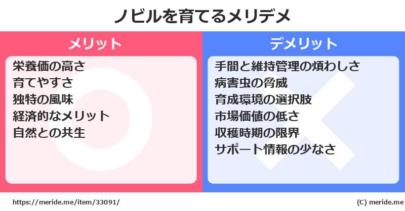 ノビルを育てるメリットとデメリットは？ [栽培]  メリデメ