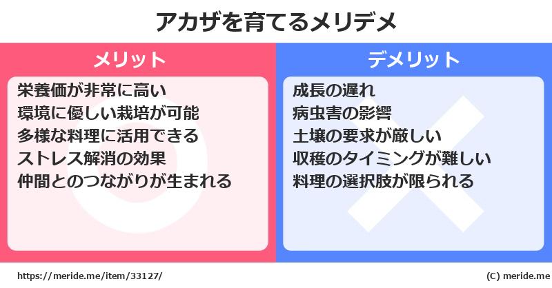 アカザを育てるメリットとデメリットは？ [栽培]  メリデメ