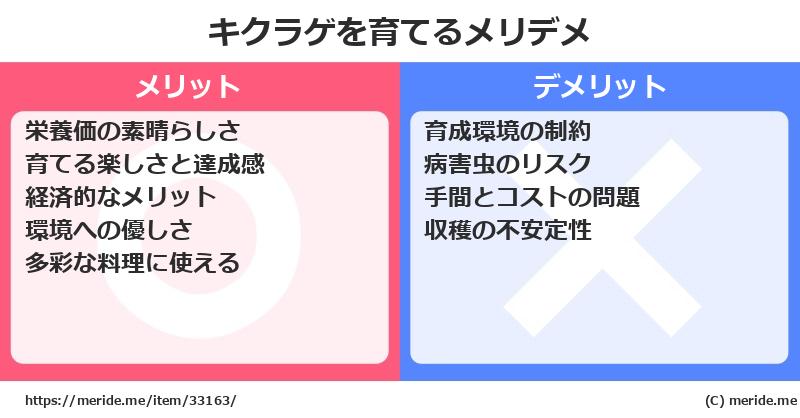 キクラゲを育てるメリットとデメリットは？ [栽培]  メリデメ
