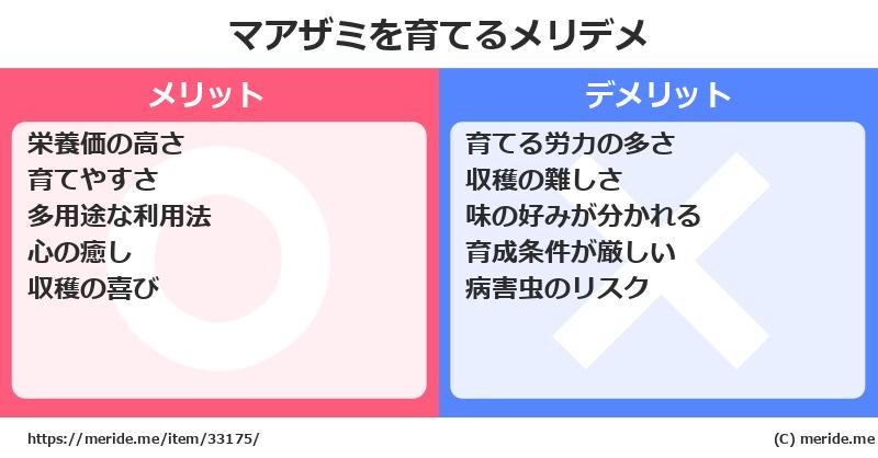 マアザミを育てるメリットとデメリットは？ [栽培]  メリデメ