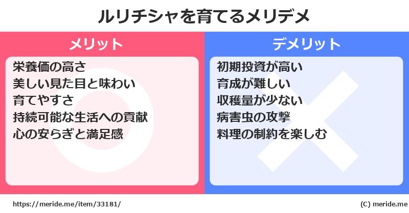 ルリチシャを育てるメリットとデメリットは？ [栽培]  メリデメ