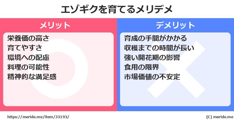 エゾギクを育てるメリットとデメリットは？ [栽培]  メリデメ