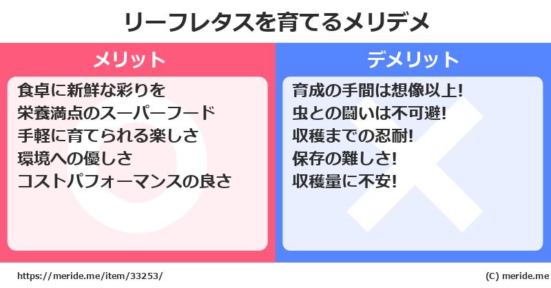 リーフレタスを育てるメリットとデメリットは？ [栽培]  メリデメ
