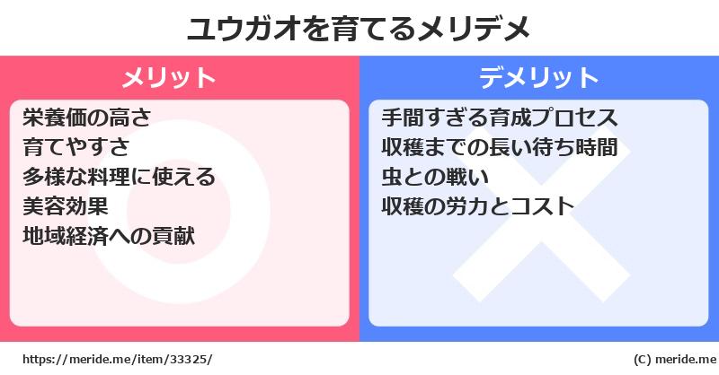 ユウガオを育てるメリットとデメリットは？ [栽培]  メリデメ