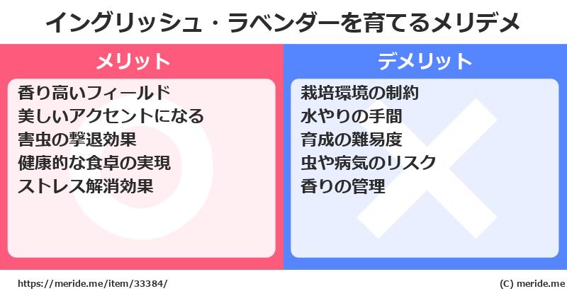 イングリッシュ・ラベンダーを育てるメリットとデメリットは？ [栽培]  メリデメ