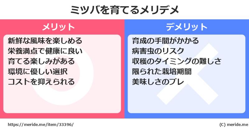 ミツバを育てるメリットとデメリットは？ [栽培]  メリデメ