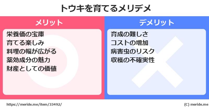 トウキを育てるメリットとデメリットは？ [栽培]  メリデメ