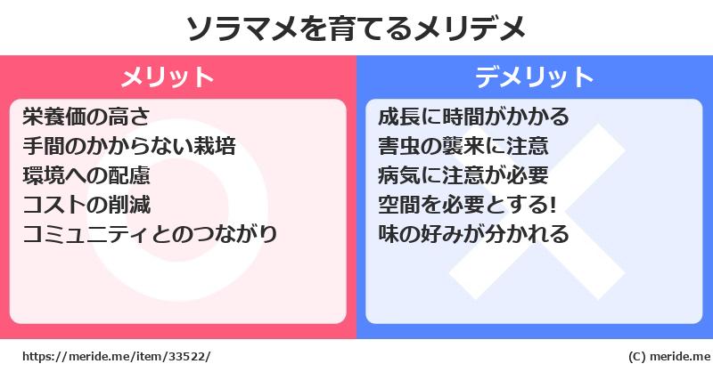 ソラマメを育てるメリットとデメリットは？ [栽培]  メリデメ
