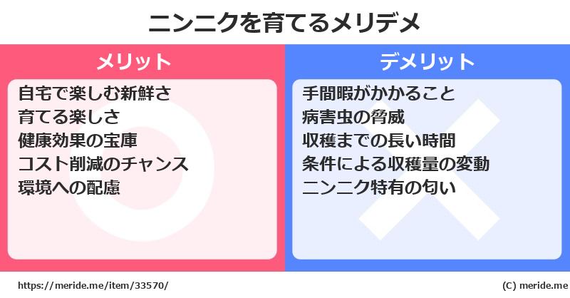 ニンニクを育てるメリットとデメリットは？ [栽培]  メリデメ