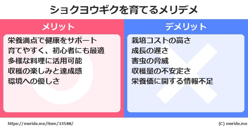 ショクヨウギクを育てるメリットとデメリットは？ [栽培]  メリデメ