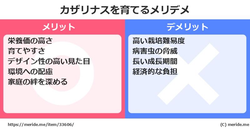 カザリナスを育てるメリットとデメリットは？ [栽培]  メリデメ
