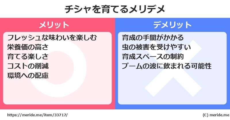 チシャを育てるメリットとデメリットは？ [栽培]  メリデメ