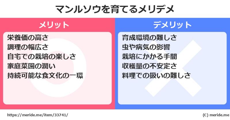マンルソウを育てるメリットとデメリットは？ [栽培]  メリデメ