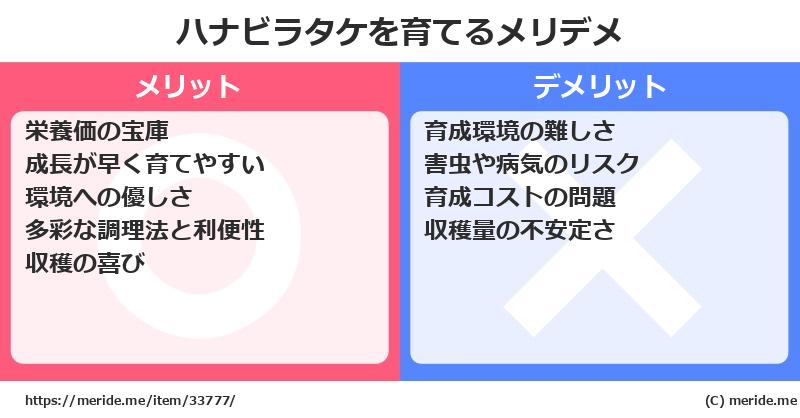 ハナビラタケを育てるメリットとデメリットは？ [栽培]  メリデメ