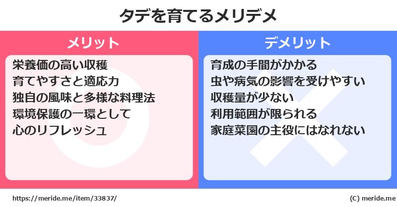 タデを育てるメリットとデメリットは？ [栽培]  メリデメ