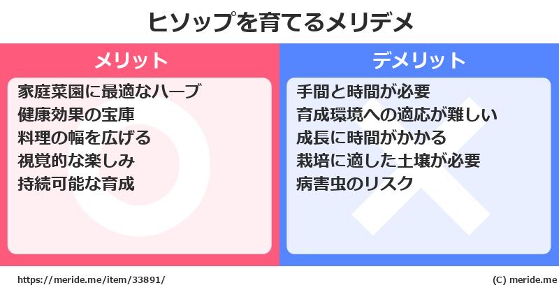 ヒソップを育てるメリットとデメリットは？ [栽培]  メリデメ