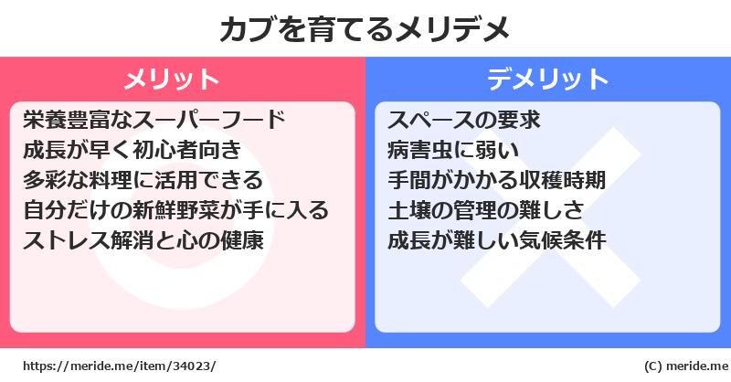 カブを育てるメリットとデメリットは？ [栽培]  メリデメ