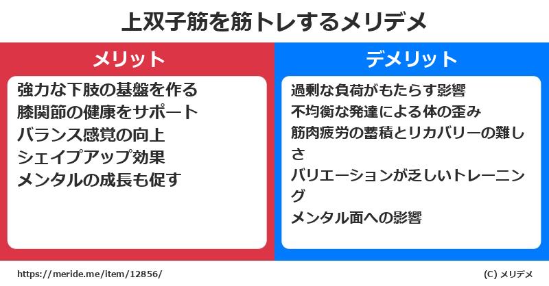 上双子筋を筋トレするメリットとデメリットは？ [筋肉]  メリデメ