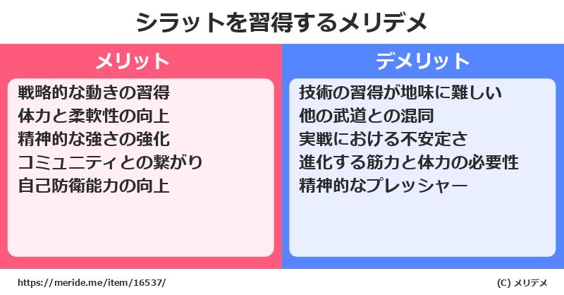 シラットを習得するメリットとデメリットは？ [格闘技]  メリデメ