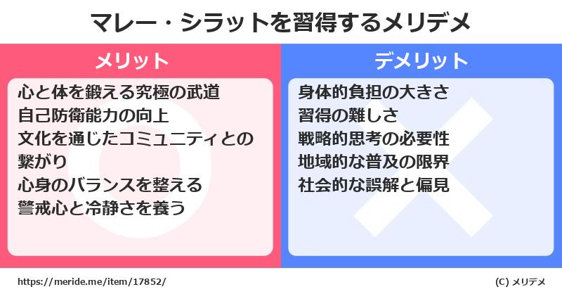 マレー・シラットを習得するメリットとデメリットは？ [格闘技]  メリデメ