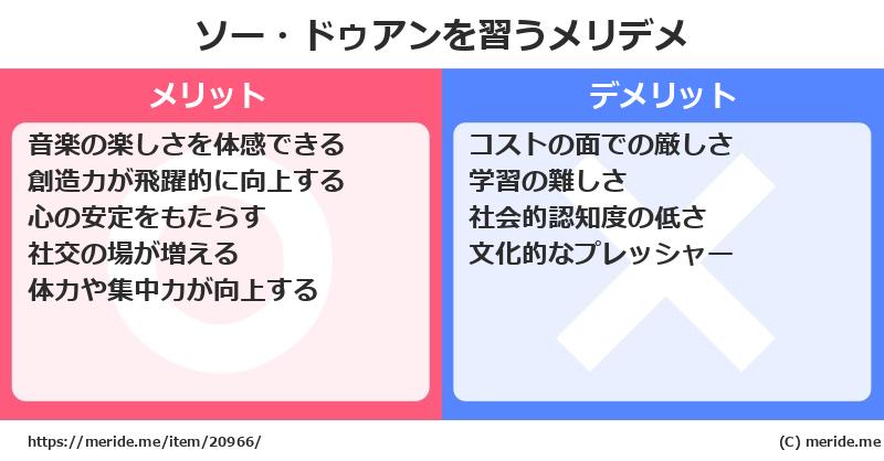 ソー・ドゥアンを習うメリットとデメリットは？ [楽器]  メリデメ