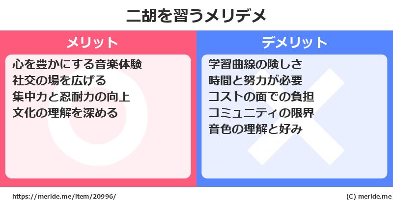 二胡を習うメリットとデメリットは？ [楽器]  メリデメ