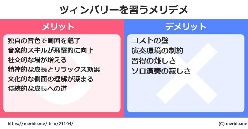 ツィンバリーを習うメリットとデメリットは？ [楽器]  メリデメ