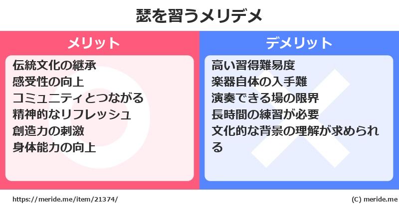 瑟を習うメリットとデメリットは？ [楽器]  メリデメ