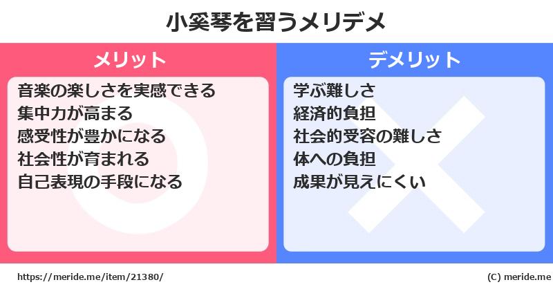 小奚琴を習うメリットとデメリットは？ [楽器]  メリデメ