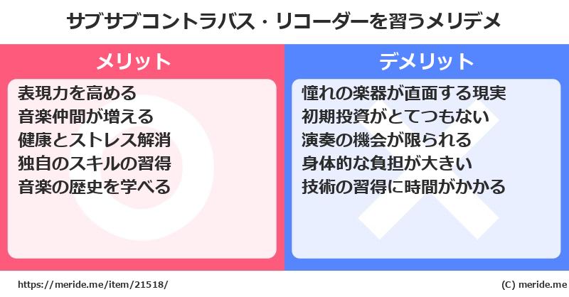 サブサブコントラバス・リコーダーを習うメリットとデメリットは？ [楽器]  メリデメ