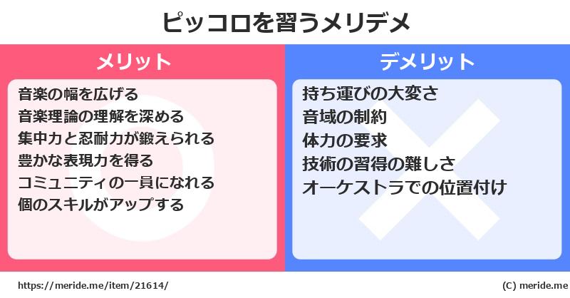 ピッコロを習うメリットとデメリットは？ [楽器]  メリデメ