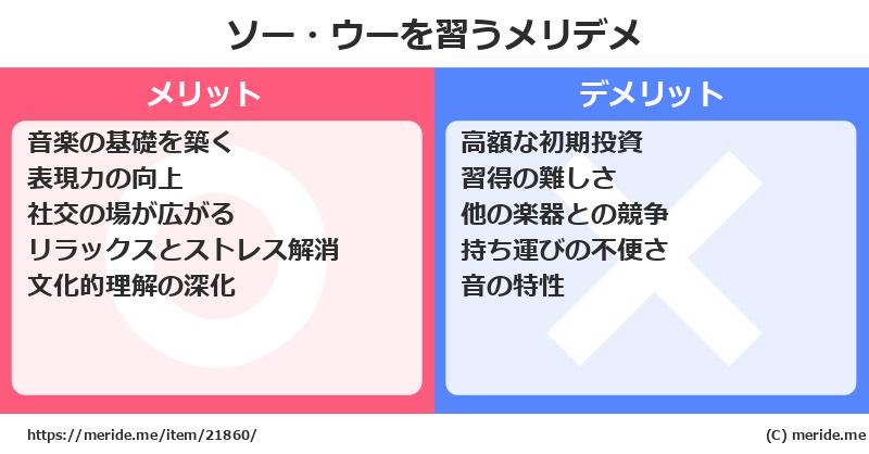 ソー・ウーを習うメリットとデメリットは？ [楽器]  メリデメ