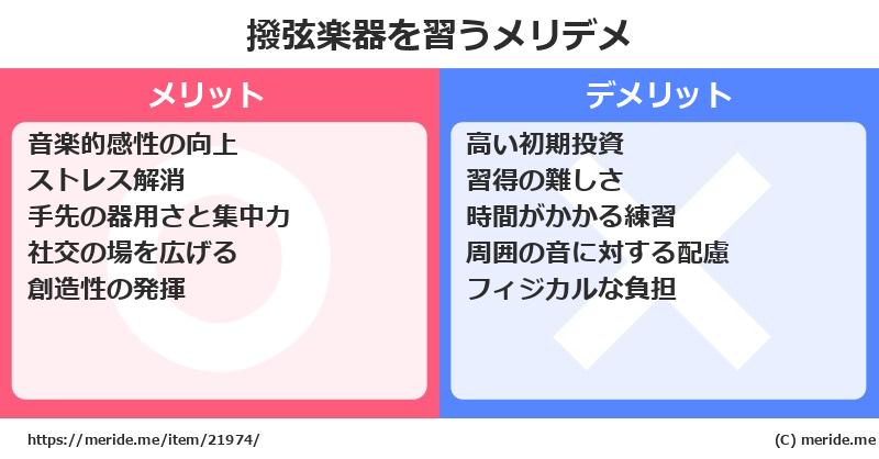 撥弦楽器を習うメリットとデメリットは？ [楽器]  メリデメ