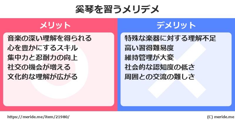 奚琴を習うメリットとデメリットは？ [楽器]  メリデメ