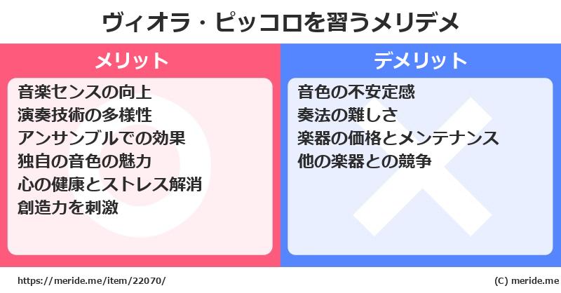 ヴィオラ・ピッコロを習うメリットとデメリットは？ [楽器]  メリデメ