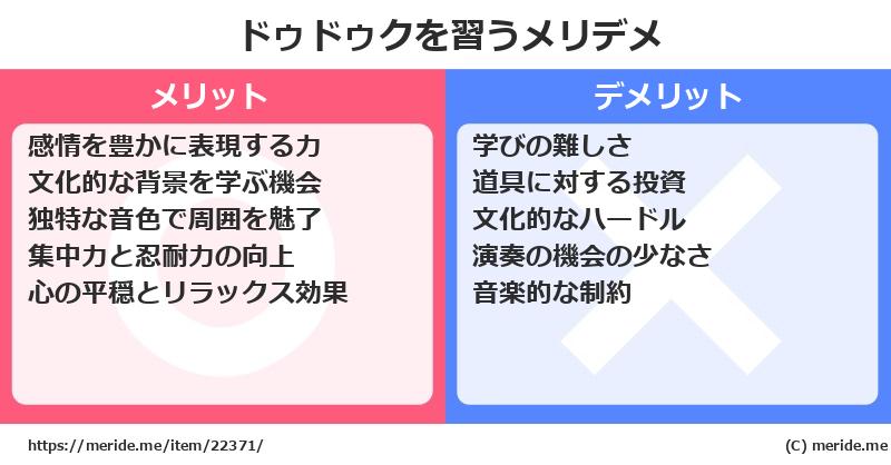 ドゥドゥクを習うメリットとデメリットは？ [楽器]  メリデメ
