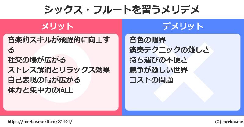 シックス・フルートを習うメリットとデメリットは？ [楽器]  メリデメ