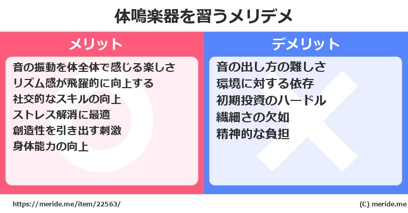 体鳴楽器を習うメリットとデメリットは？ [楽器]  メリデメ