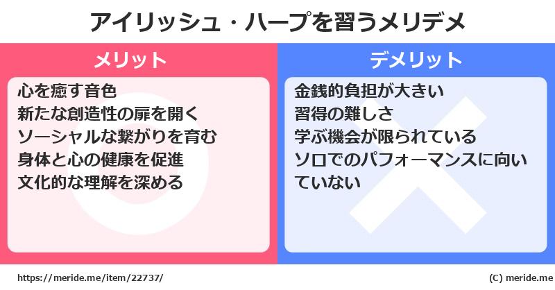 アイリッシュ・ハープを習うメリットとデメリットは？ [楽器]  メリデメ